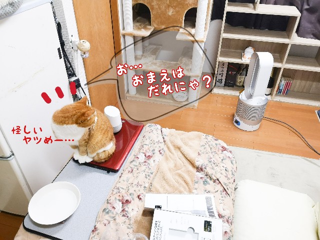 f:id:JuneNNN:20201027124326j:plain