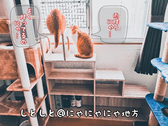f:id:JuneNNN:20201102110450j:plain f:id:JuneNNN:20201102110450j:plain