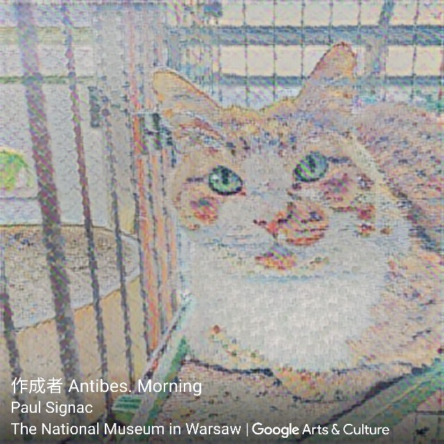 f:id:JuneNNN:20201103154240j:plain
