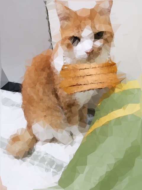 f:id:JuneNNN:20201112135753j:plain f:id:JuneNNN:20201112135753j:plain