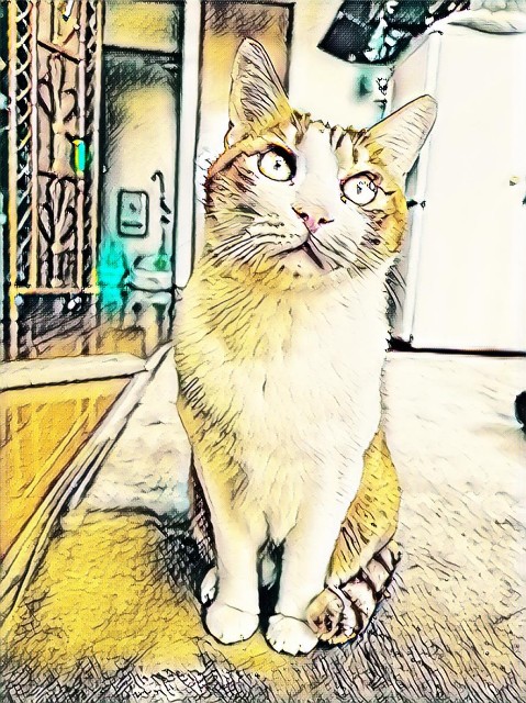 f:id:JuneNNN:20201112135806j:plain f:id:JuneNNN:20201112135806j:plain