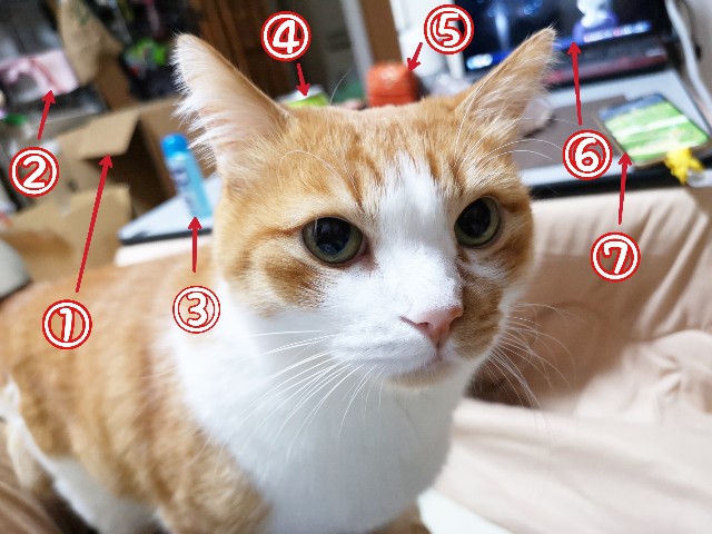 f:id:JuneNNN:20201126134541j:plain
