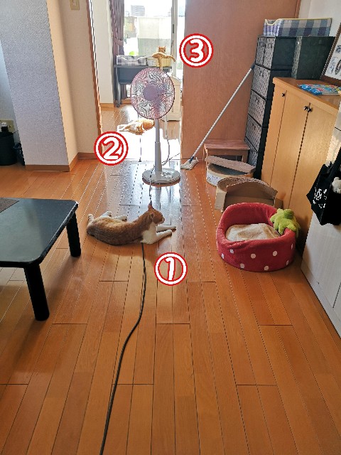 f:id:JuneNNN:20201126134607j:plain
