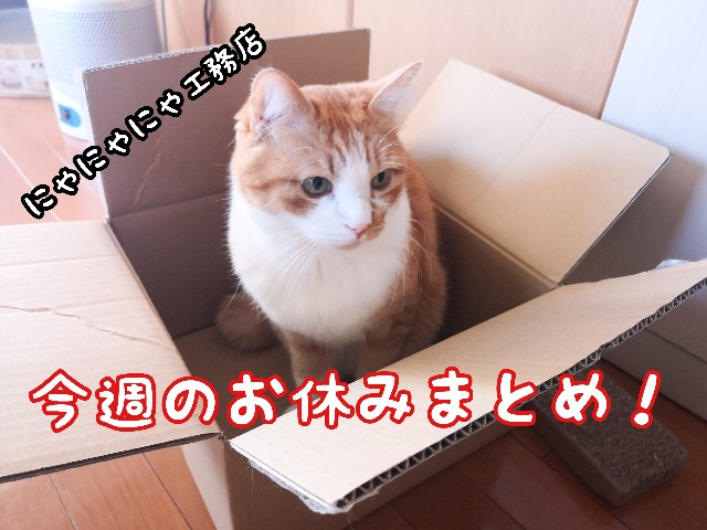 f:id:JuneNNN:20201201141444j:plain