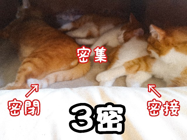 f:id:JuneNNN:20201202165519j:plain