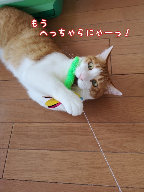 f:id:JuneNNN:20201204115401j:plain