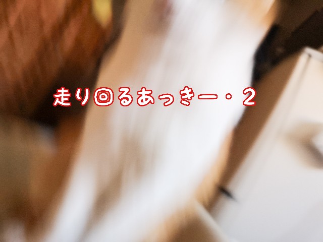 f:id:JuneNNN:20201206140221j:plain