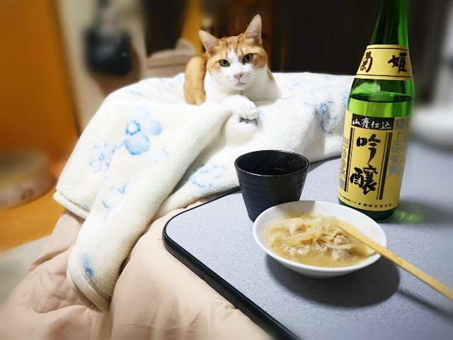 f:id:JuneNNN:20201217125515j:plain