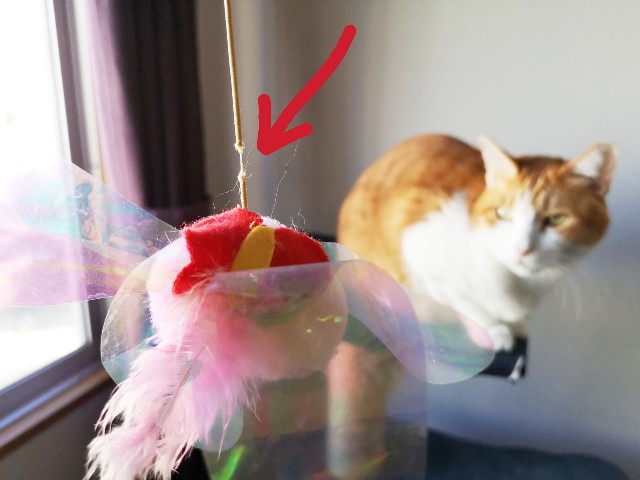 f:id:JuneNNN:20201217125634j:plain