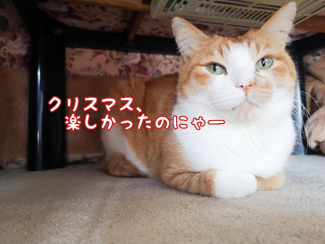 f:id:JuneNNN:20201225174559j:plain