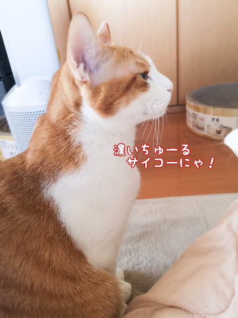 f:id:JuneNNN:20201225174624j:plain