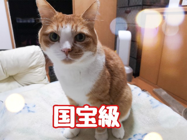 f:id:JuneNNN:20210103175809j:plain