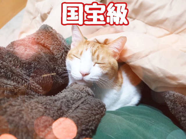f:id:JuneNNN:20210103175822j:plain