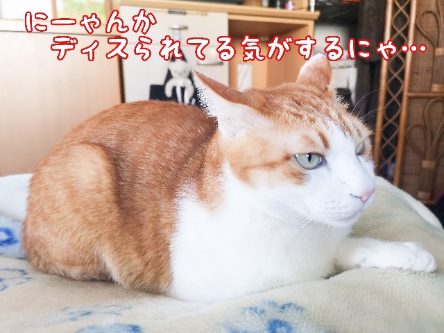 f:id:JuneNNN:20210108165341j:plain