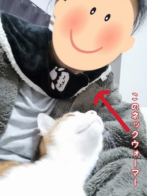 f:id:JuneNNN:20210114113552j:plain