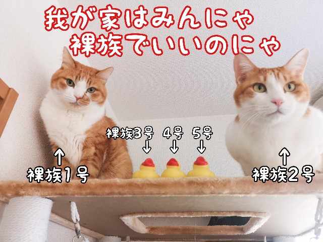 f:id:JuneNNN:20210114165801j:plain