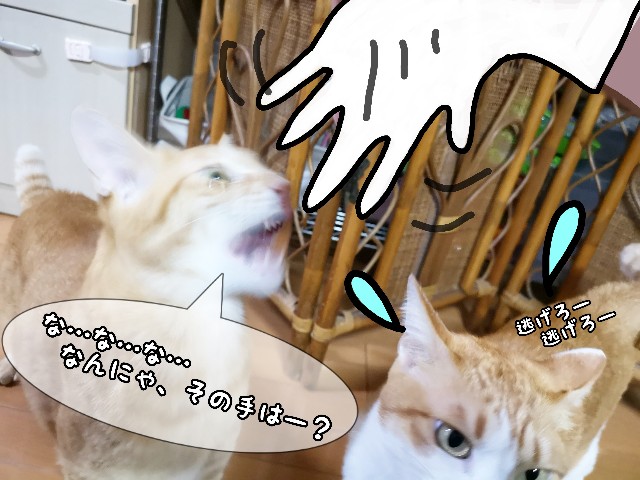 f:id:JuneNNN:20210114171823j:plain