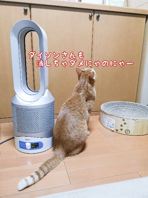 f:id:JuneNNN:20210116162121j:plain