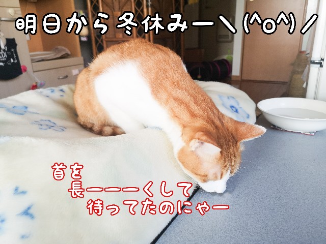 f:id:JuneNNN:20210116163608j:plain