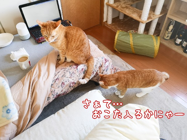 f:id:JuneNNN:20210121115801j:plain