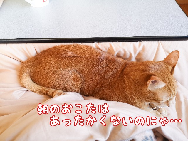 f:id:JuneNNN:20210121115835j:plain