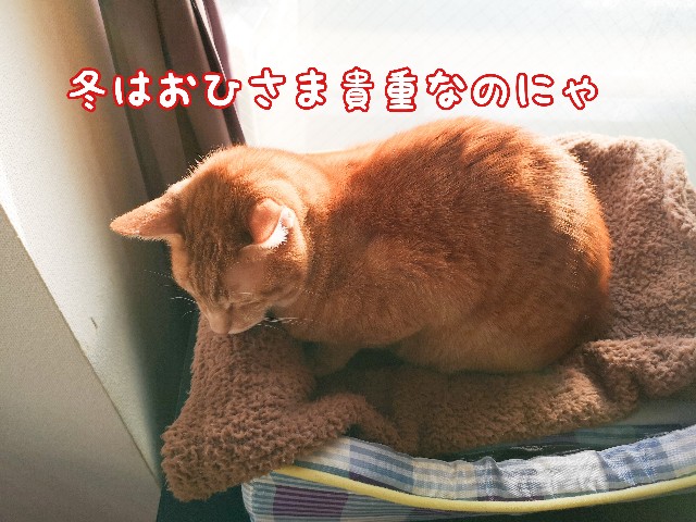 f:id:JuneNNN:20210121120619j:plain