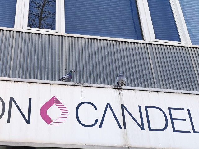 f:id:JuneNNN:20210129152710j:plain