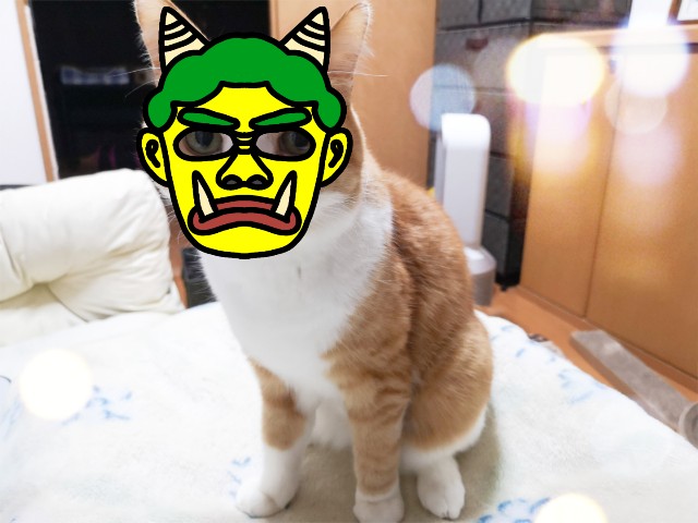 f:id:JuneNNN:20210130165144j:plain
