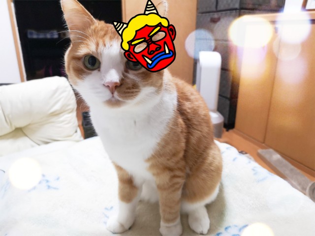 f:id:JuneNNN:20210130165150j:plain