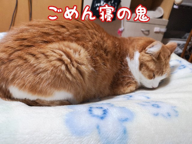 f:id:JuneNNN:20210202145259j:plain