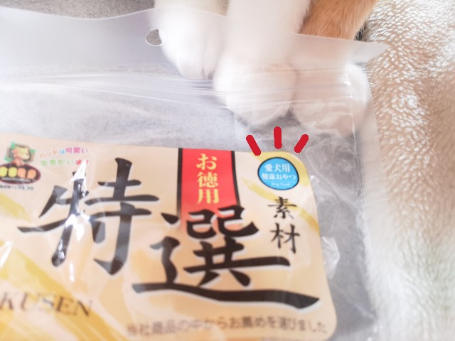 f:id:JuneNNN:20210209130356j:plain
