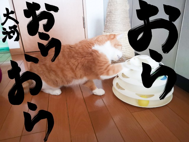f:id:JuneNNN:20210210153001j:plain
