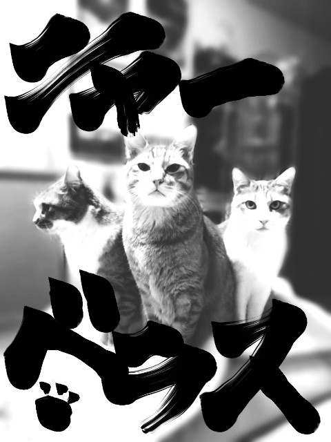 f:id:JuneNNN:20210210153025j:plain