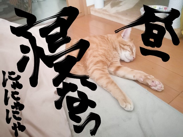 f:id:JuneNNN:20210210153037j:plain