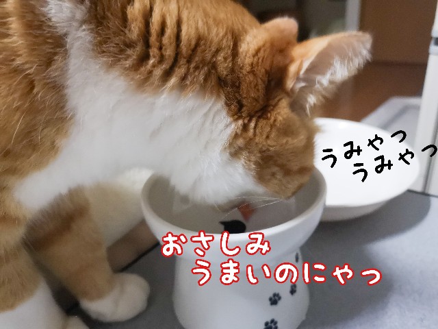 f:id:JuneNNN:20210215121017j:plain