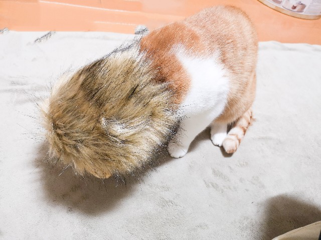 f:id:JuneNNN:20210218154203j:plain