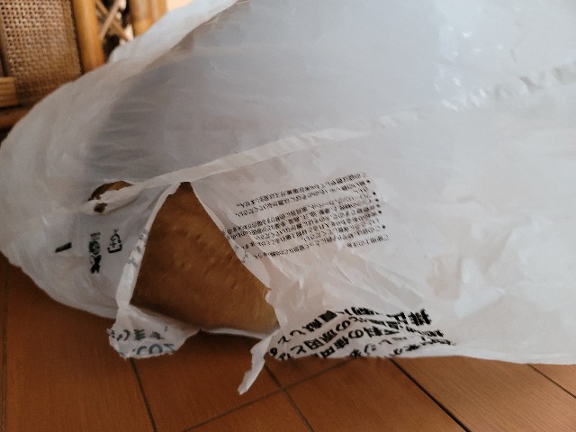 f:id:JuneNNN:20210224110312j:plain
