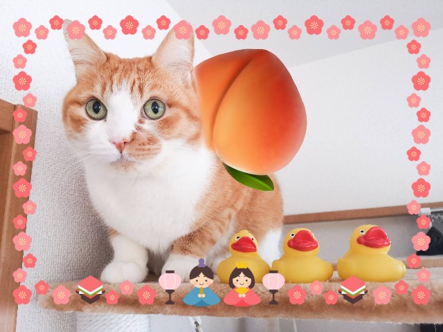 f:id:JuneNNN:20210302171935j:plain