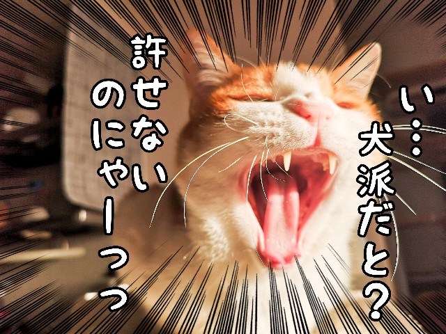 さすが大御所 国民的アニメ強し にゃにゃにゃ工務店