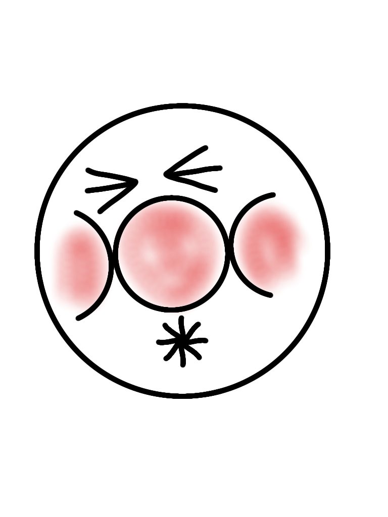 f:id:JuneNNN:20210303132223p:plain