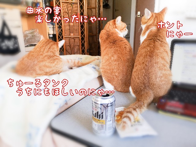 f:id:JuneNNN:20210304132006j:plain