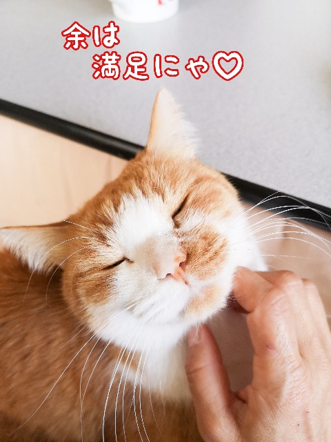 f:id:JuneNNN:20210304134147j:plain