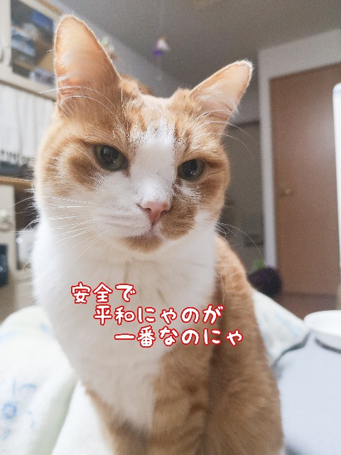 f:id:JuneNNN:20210311123451j:plain