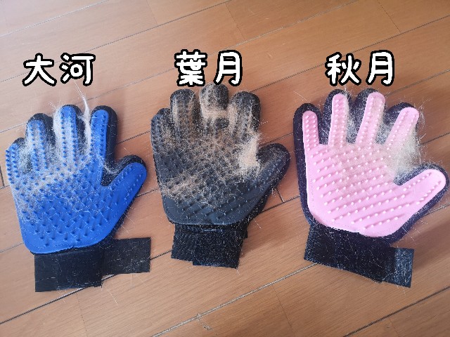 f:id:JuneNNN:20210314114115j:plain