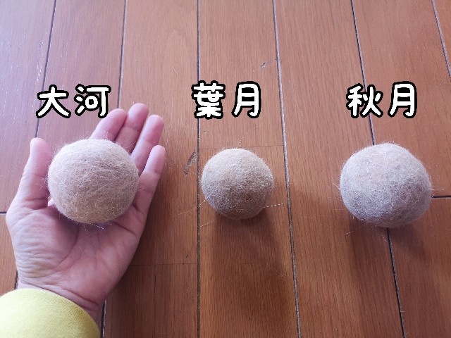 f:id:JuneNNN:20210314114312j:plain