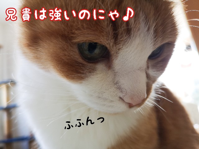 f:id:JuneNNN:20210314114334j:plain