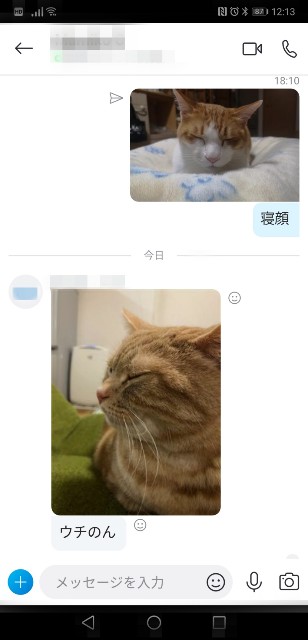 f:id:JuneNNN:20210316121537j:plain