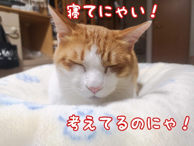f:id:JuneNNN:20210323172040j:plain