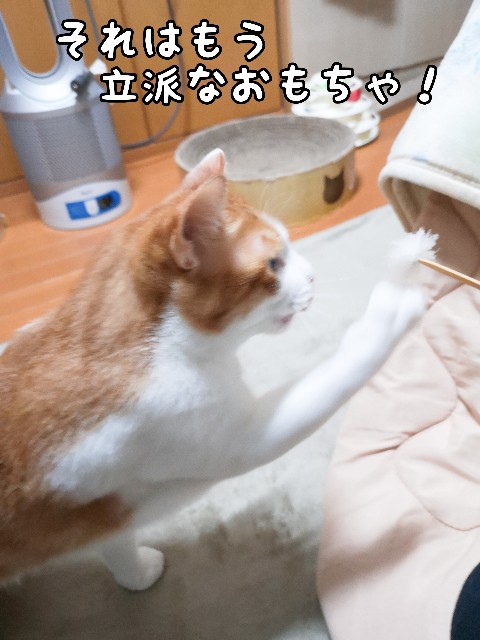 f:id:JuneNNN:20210324144539j:plain