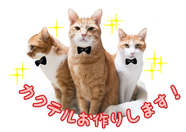 f:id:JuneNNN:20210325185900j:plain